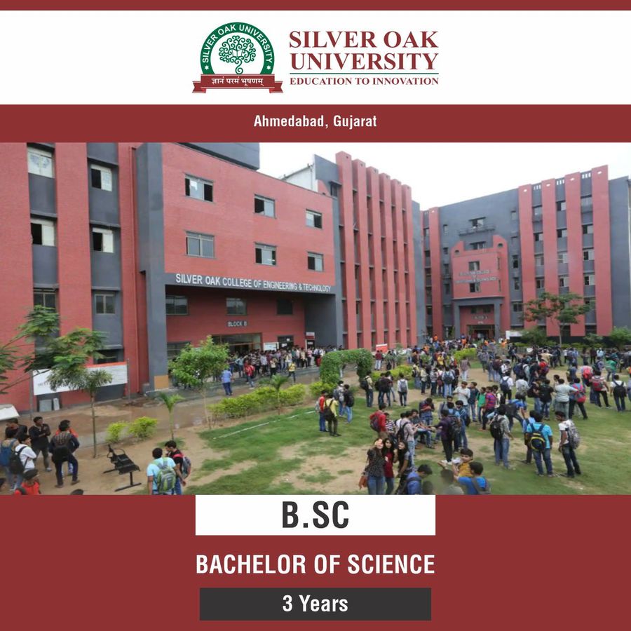 Silver Oak University
